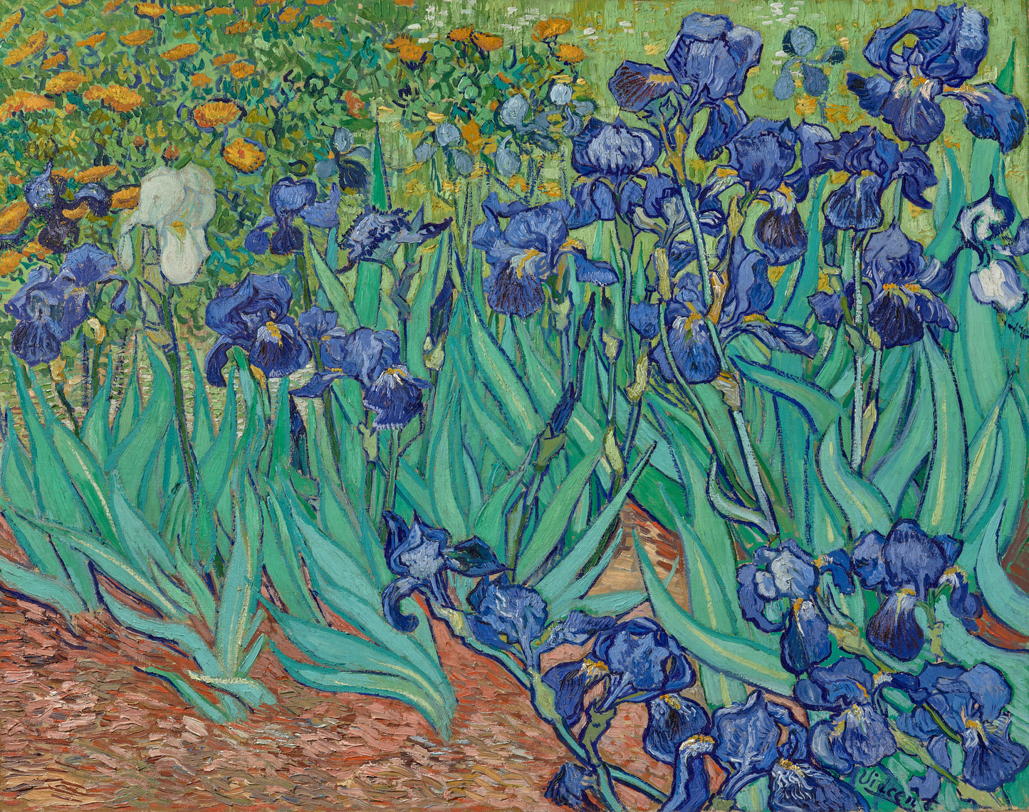 Vincent van Gogh — Irises