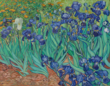 Vincent van Gogh — Irises